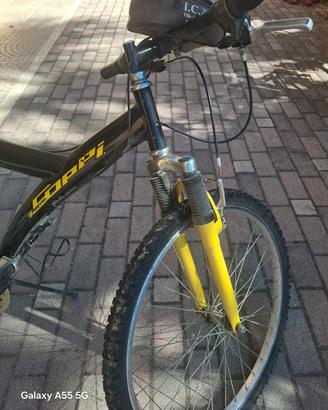 Montanbike 