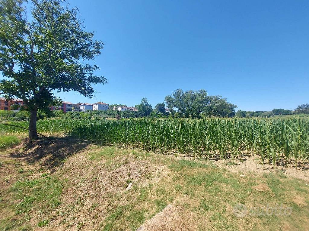 Terreno di 11000 m² a Pesaro - Vista 3