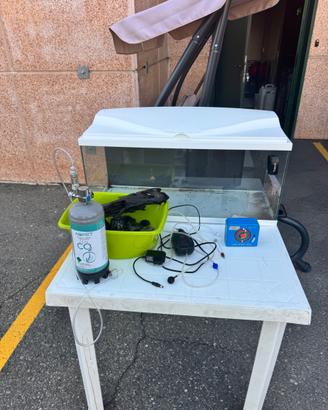Acquario 80 Litri completo e bombola Co2