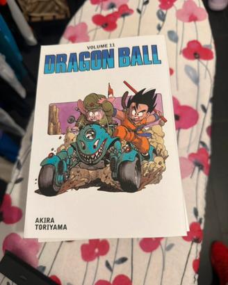 Manga dragonball