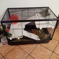 Gabbia per criceto 