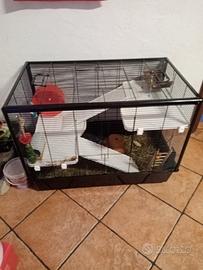 Gabbia per criceto 