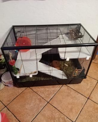 Gabbia per criceto 