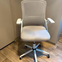 Sedia ufficio o gaming con rotelle