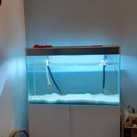 Acquario