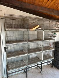 Batteria gabbie per uccelli