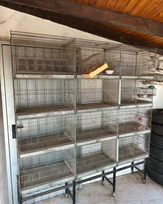 Batteria gabbie per uccelli
