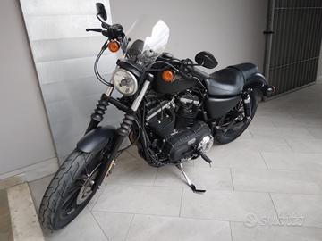 Harley-davidson XL 883