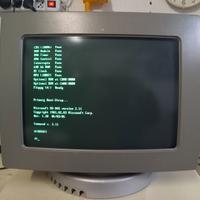 Monitor per Olivetti M24