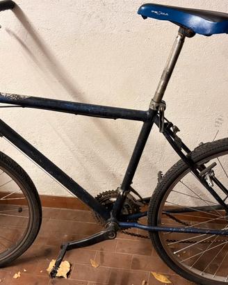 Bicicletta da uomo