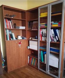 Libreria e vetrina
