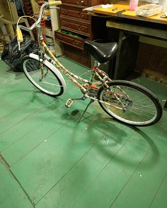 bicicletta donna 24