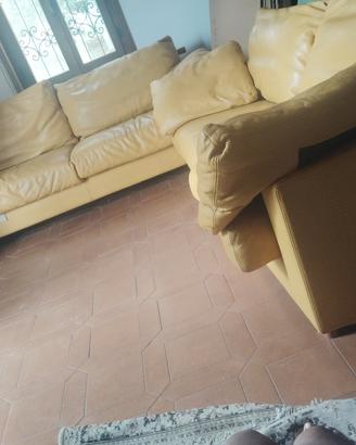due divani