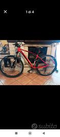 Specialized Rockhopper Comp 29