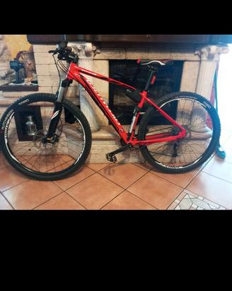 Specialized Rockhopper Comp 29