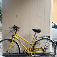 Bicicletta Adriatica