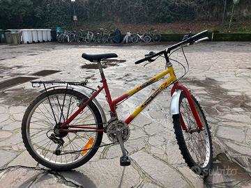 bici da ragazzo