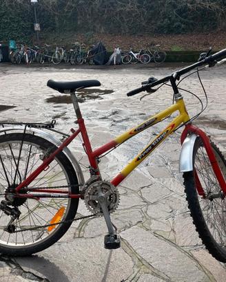 bici da ragazzo