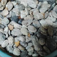Ciotoli da giardino kg. 100