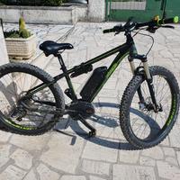 Ebike Bosch Lombardo 