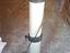 Immagine 3