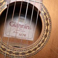 Chitarra Brasiliana  Giannini