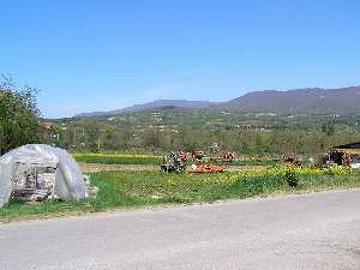 Terreno di 12000 m² a Sansepolcro