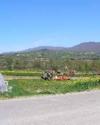 Terreno di 12000 m² a Sansepolcro