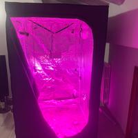 Grow box 120x120