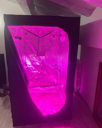 Grow box 120x120