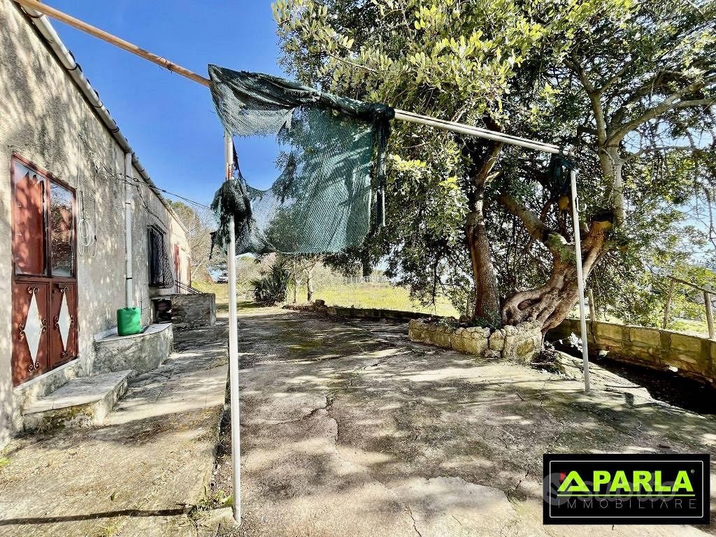 Rustico / Casale di 6100 m² con 4 locali a Canicat - Vista 4