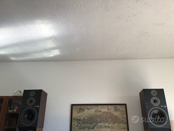 diffusori acustici pronti all’uso