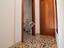 Immagine 13