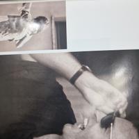 Vasco Rossi rivista speciale 