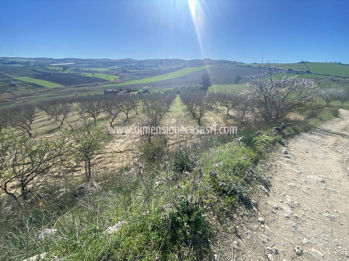 Rif.TA67-Terreno agricolo Caltanissetta - Vista 3