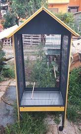 Voliera / Gabbia per Uccelli alta 160cm 