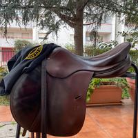 Sella Antares Sellier 17,5