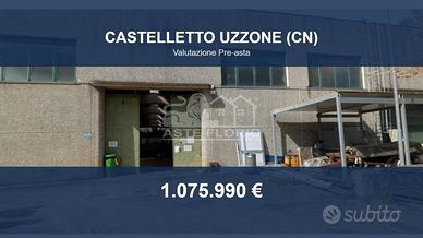 Immobile in asta di 2044 m² a Castelletto Uzzone