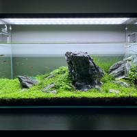 Set Aquascaping Completo - Come Nuovo - 2000+