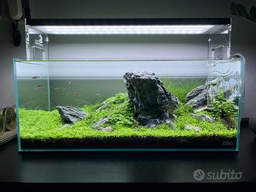 Set Aquascaping Completo - Come Nuovo - 2000+