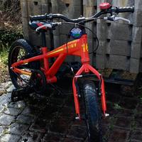 Fat Bike Bambino 16 Pollici