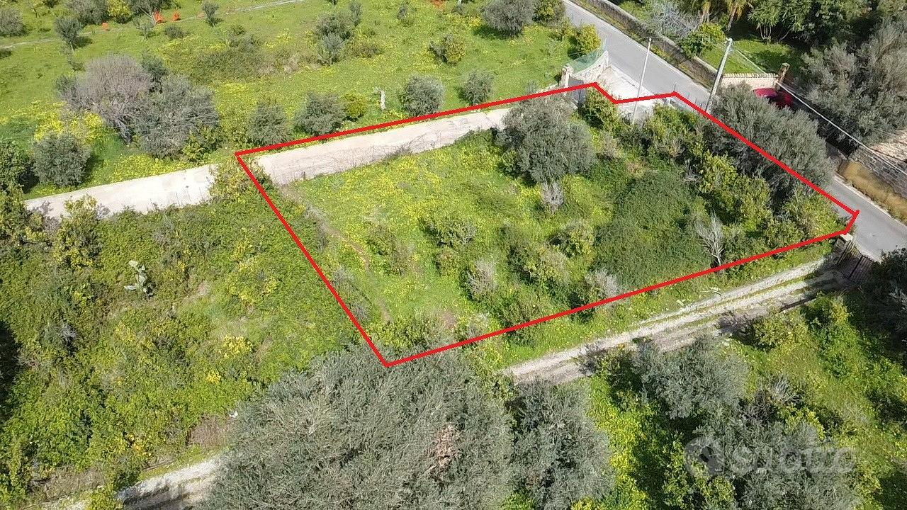Terreno agricolo pianeggiante - Vista 3