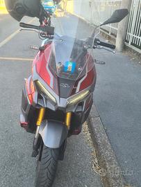 KL Brera 300×