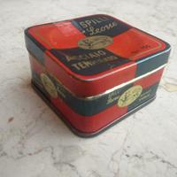 Scatolina metallo spilli leone