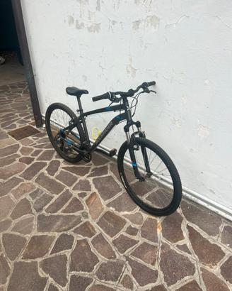 rock rider