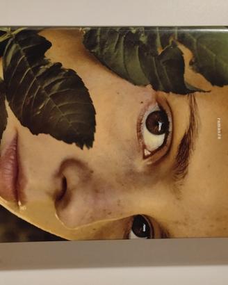 La solitudine dei numeri primi 