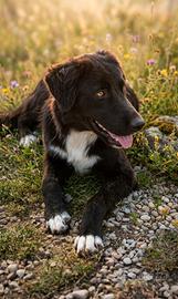Nefert, 7 mesi, splendida