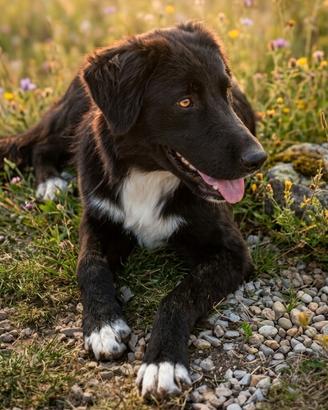 Nefert, 7 mesi, splendida