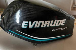 Ricambi Evinrude e-tec 40cv anno 2005