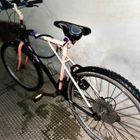 Bianchi Ragno Vintage - Telaio Iconico Anni '90